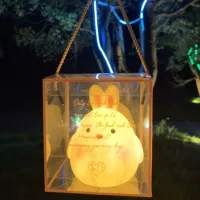 Кролика Night Light+подарочная коробка