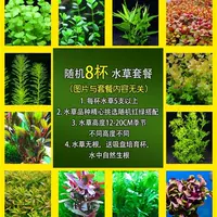 Случайная 8 стакана водяной травы (отправка тонущей чашки) Лучшая модель