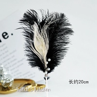 Серебряные черно -белые перья