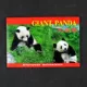 Большая Панда (набор из 10 штук)