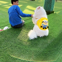 Желтый смех [улучшенная версия]