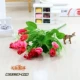 Meihong Magnolia Buds куча цены