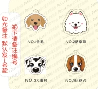 Golden Mao/samoyed/damimachi/Big Dog
