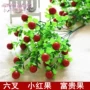 Chất liệu hoa lụa với hoa cỏ và hoa nhân tạo 6 ngã ba quả nhỏ màu đỏ quả giàu 18 quả tốt lành đầy đủ - Hoa nhân tạo / Cây / Trái cây đào đông đỏ giả