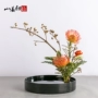 Hoa ban đầu nhỏ hoa Zen chậu hoa nhựa phòng khách trang trí hoa bình hoa chậu hoa giải phóng mặt bằng nữ - Vase / Bồn hoa & Kệ chậu đất