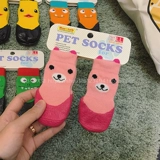 Шерри Тедди Бики Корки борьба с собакой собака Водонепроницаем