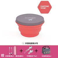 Цвет лотоса