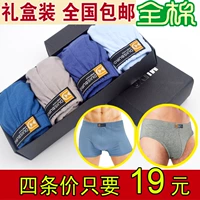 Quà tặng đóng hộp nam eo bông cotton màu net tam giác boxer underwear chàng trai thở sinh viên đồ lót đầu quần sịp nam siêu mỏng