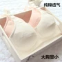 Cô gái kích thước lớn cotton phần mỏng áo ngực cotton cup không có miếng bọt biển không có vòng thép béo phì MM đồ lót sinh viên đồ lót calvin klein nữ chính hãng