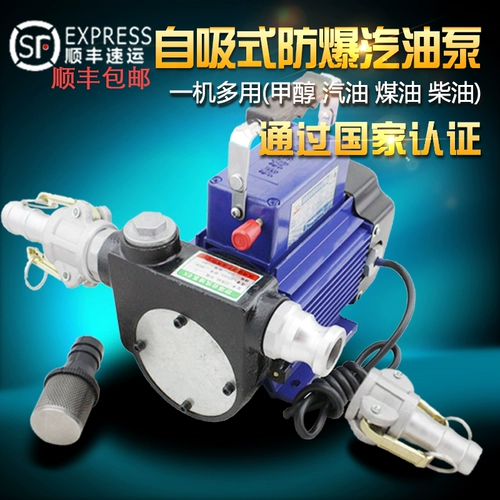 12V24V220V Насосное насосное насосное насос -Проницаемый бензиновый метанол дизельный дизельный электрический