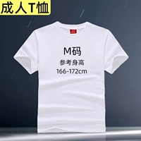 Взрослый T -Frish (M Code)