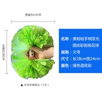 Красочный смешанный азиатский светло -зеленый