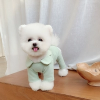 Авокадо зеленые брюки для ног