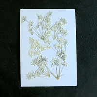 Светло-коричневый