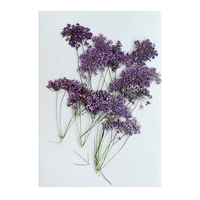 Сиреневый, кружевное платье