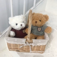 Брендовый милый плюшевый бархатный свитер, кукла, игрушка, Южная Корея, с медвежатами, подарок на день рождения