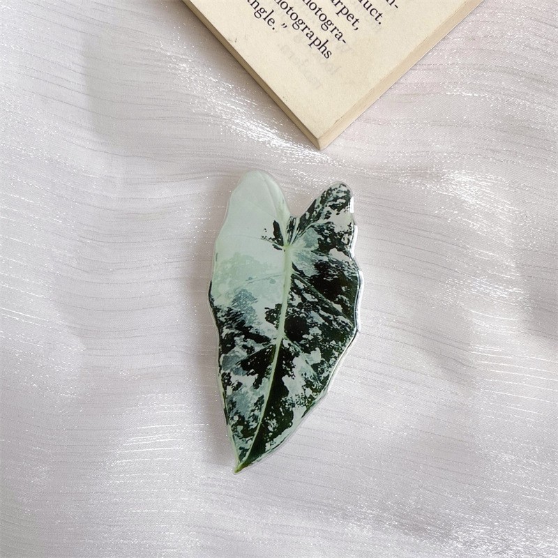 Leaf-H78