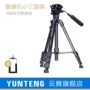 Chân máy ảnh Yunteng 691 DSLR chân máy ảnh chuyên nghiệp Canon Nikon Sony - Phụ kiện máy ảnh DSLR / đơn giá đỡ điện thoại chụp ảnh