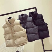 18 mùa thu và mùa đông mới cotton vest nữ ngắn phần cổ áo nhung kẻ sọc áo khoác học sinh xuống quần áo bánh mì bông Harajuku
