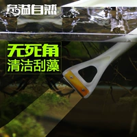Qiqi Natural Fish Tank Cratching Clean Crash Clean Clean Commining Comminting Tool Aquarium
