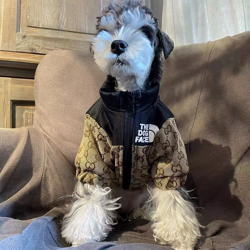 Осень и зимняя модная одежда