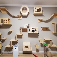 кошко-комплекс 猫爬架墙壁式实木猫墙猫窝壁挂式猫树跳台跳板爬梯木质墙上猫家具