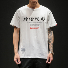 短袖t恤男夏季宽松印花体恤衫男日系学生半截袖 A313-1 T1946 P35