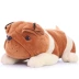 Shar pei dog đồ chơi sang trọng Lai Pei chó lớn chó búp bê hyena gối gối búp bê búp bê quà tặng sinh nhật - Đồ chơi mềm gấu shop Đồ chơi mềm