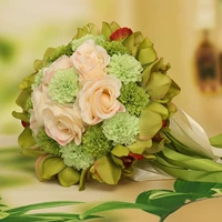 Европейские и американские европейские зеленые руки расцветают