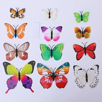 12 кусочков бабочки