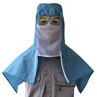 Du Chi Dust Hat посвящена лету