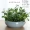 Hoa đơn giản đơn giản nước nuôi bình hoa chậu hoa gốm lớn hộ gia đình kích thước đặc biệt cao cấp không rò rỉ - Vase / Bồn hoa & Kệ