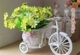 Большой поплавок + морщинистый хризантемм желтый зеленый