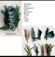 Девушка зеленый ветвь-зеленый растение комбинация