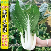 Jianxiu Black Leaf Capbage 10 граммов оригинального присутствия