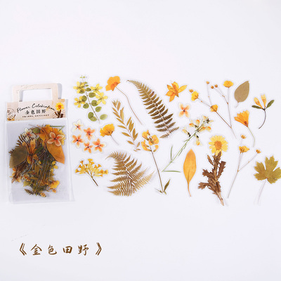 Golden Field (20 Patterns, 2 Each)Muran Sticker package a wide field since depths series PET Botany flowers and plants Hand account source material Decorative stickers 40 Mei Jin