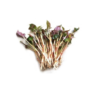 200 г ароматных листьев початка (свежих местных)