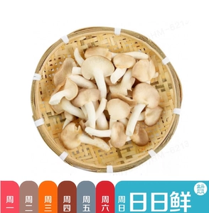 Xiuzhen Mushroom 150g (Hema nikki)
