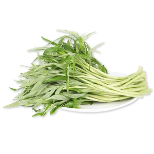 300 г Artemisia annua в Caidian