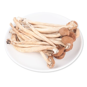 【Fungiverse】Гриб чайного дерева (удаленный корень) 150г