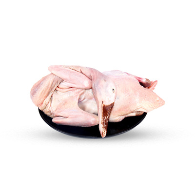 [【本地鲜】大瀛崇明冰鲜老麻鸭950g（推荐煲汤）]