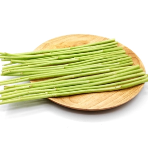 200g/порция (Artemisia artemisia premier)