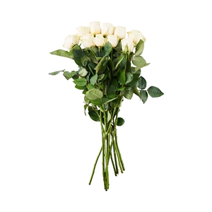 Fangde Warm Jade Rose Yellow 10 стеблей/галстук