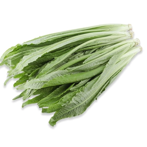[【安全追溯】泾阳 有机油麦菜250g]