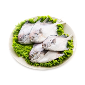 Ocean Family Zhoushan Pomfret 450г 4 шт.