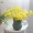 Bắc Âu cảm thấy đầy sao mô phỏng bó hoa phòng khách cắm hoa giả hoa nhựa trang trí bàn trang trí hoa - Trang trí nội thất