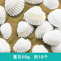 Около 10 снежных моллюсков 50 г