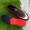 Giày bóng đá bạch kim nam tf gãy móng tay trẻ em học sinh tiểu học thoáng khí cỏ nhân tạo ag giày nữ - Giày bóng đá giày nike thể thao