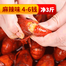 [3 коробки] Острые раки 750 г*3 (3 фунта нетто)
