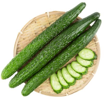 [【产地直供】黄瓜约600g]